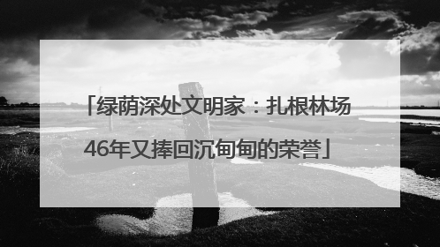 绿荫深处文明家：扎根林场46年又捧回沉甸甸的荣誉