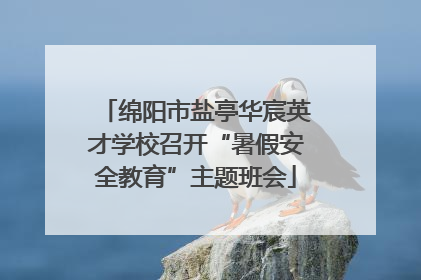 绵阳市盐亭华宸英才学校召开“暑假安全教育”主题班会
