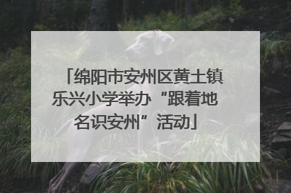 绵阳市安州区黄土镇乐兴小学举办“跟着地名识安州”活动