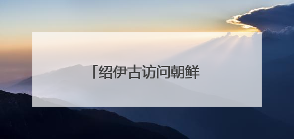绍伊古访问朝鲜 将与金正恩会面