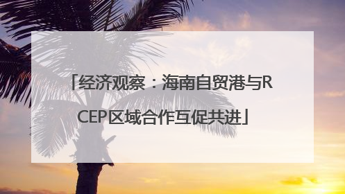 经济观察：海南自贸港与RCEP区域合作互促共进