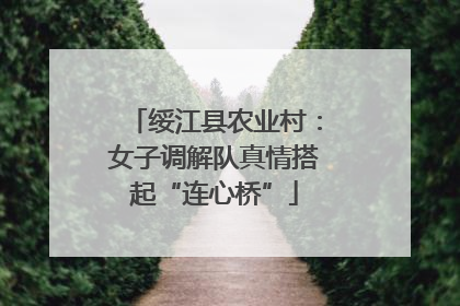 绥江县农业村：女子调解队真情搭起“连心桥”