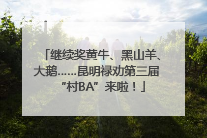 继续奖黄牛、黑山羊、大鹅……昆明禄劝第三届“村BA”来啦！