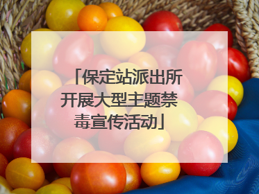 保定站派出所开展大型主题禁毒宣传活动