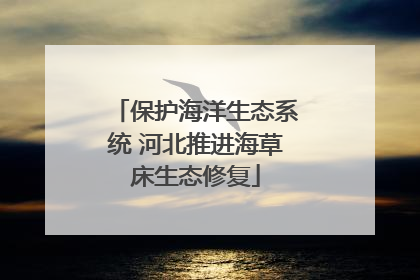 保护海洋生态系统 河北推进海草床生态修复
