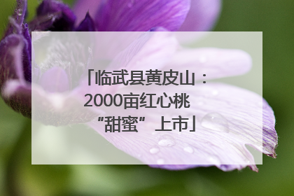 临武县黄皮山：2000亩红心桃“甜蜜”上市