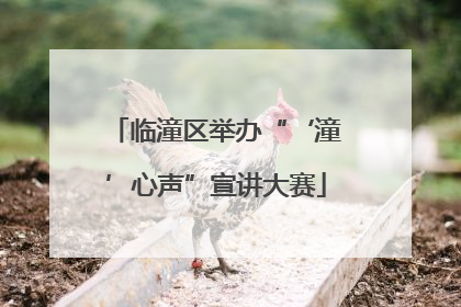 临潼区举办“‘潼’心声”宣讲大赛