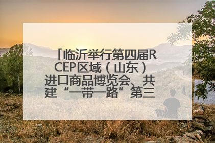 临沂举行第四届RCEP区域（山东）进口商品博览会、共建“一带一路”第三届临沂商城国际采购商大会新闻发布会