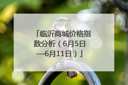 临沂商城价格指数分析（6月5日—6月11日）