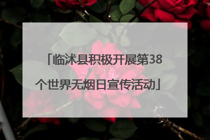 临沭县积极开展第38个世界无烟日宣传活动