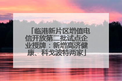 临港新片区增值电信开放第二批试点企业授牌：新增高济健康、科戈波特两家