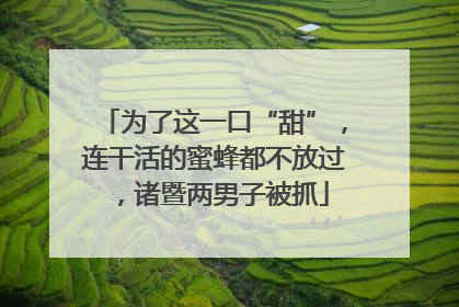 为了这一口“甜”，连干活的蜜蜂都不放过，诸暨两男子被抓