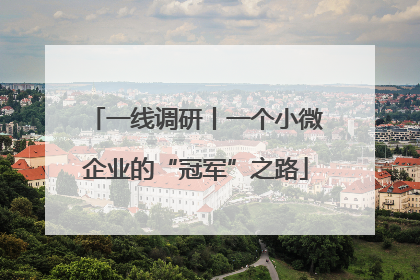 一线调研丨一个小微企业的“冠军”之路