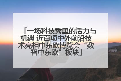 一场科技秀里的活力与机遇 近百项中外前沿技术亮相中东欧博览会“数智中东欧”板块