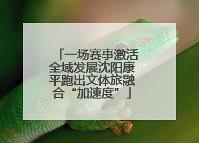 一场赛事激活全域发展沈阳康平跑出文体旅融合“加速度”