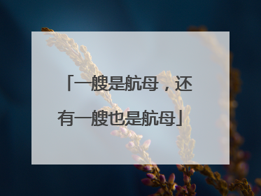 一艘是航母，还有一艘也是航母