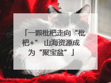 一颗枇杷走向“枇杷+” 山海资源成为“聚宝盆”