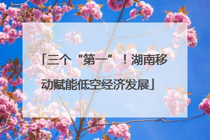 三个“第一”！湖南移动赋能低空经济发展