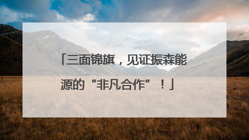 三面锦旗，见证振森能源的“非凡合作”！