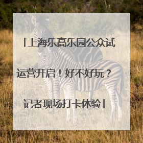 上海乐高乐园公众试运营开启！好不好玩？记者现场打卡体验