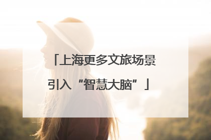 上海更多文旅场景引入“智慧大脑”