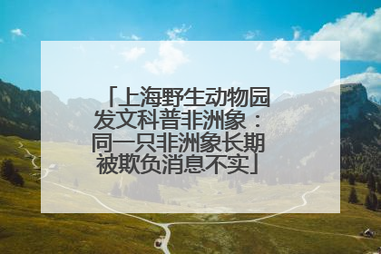 上海野生动物园发文科普非洲象：同一只非洲象长期被欺负消息不实