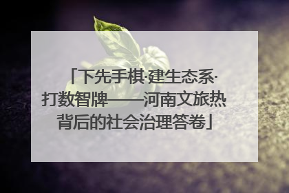 下先手棋·建生态系·打数智牌——河南文旅热背后的社会治理答卷