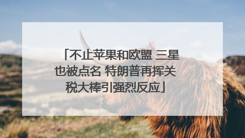 不止苹果和欧盟 三星也被点名 特朗普再挥关税大棒引强烈反应
