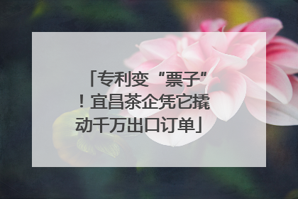 专利变“票子”！宜昌茶企凭它撬动千万出口订单