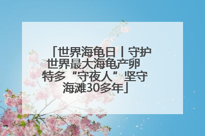 世界海龟日丨守护世界最大海龟产卵 特多“守夜人”坚守海滩30多年