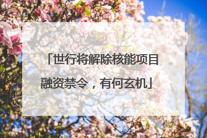 世行将解除核能项目融资禁令，有何玄机