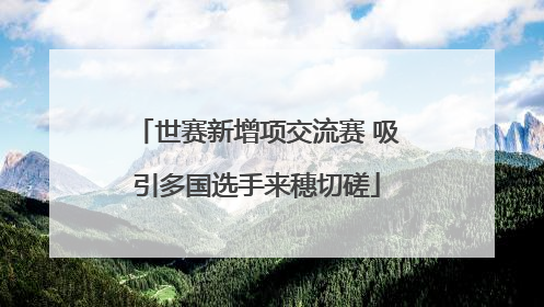 世赛新增项交流赛 吸引多国选手来穗切磋