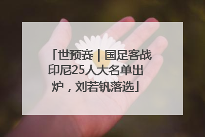世预赛｜国足客战印尼25人大名单出炉，刘若钒落选