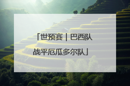 世预赛｜巴西队战平厄瓜多尔队