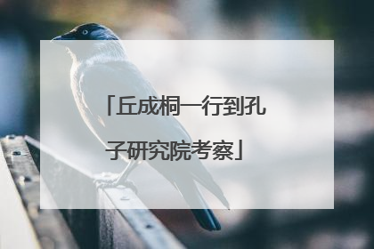 丘成桐一行到孔子研究院考察