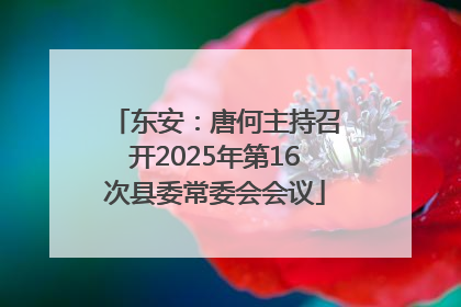 东安：唐何主持召开2025年第16次县委常委会会议