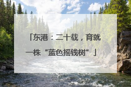 东港：二十载，育就一株“蓝色摇钱树”
