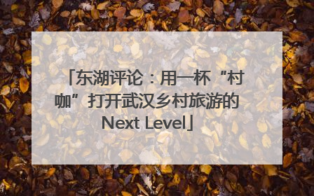 东湖评论：用一杯“村咖”打开武汉乡村旅游的Next Level