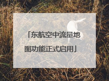 东航空中流量地图功能正式启用