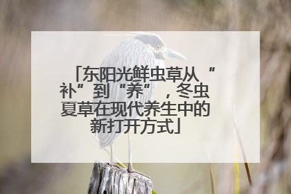 东阳光鲜虫草从“补”到“养”，冬虫夏草在现代养生中的新打开方式