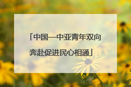 中国—中亚青年双向奔赴促进民心相通