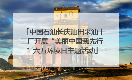 中国石油长庆油田采油十二厂开展“美丽中国我先行”六五环境日主题活动