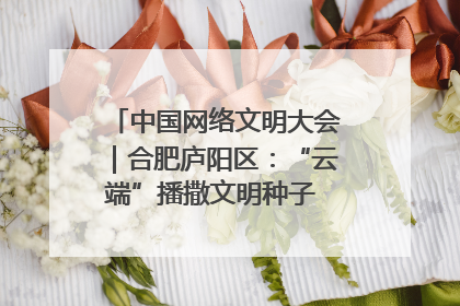 中国网络文明大会｜合肥庐阳区：“云端”播撒文明种子 共建清朗网络空间