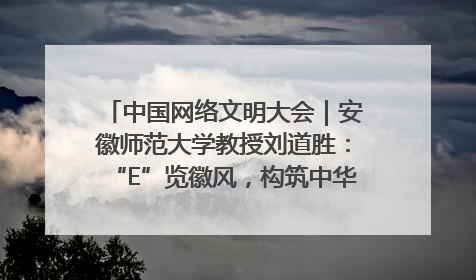 中国网络文明大会｜安徽师范大学教授刘道胜：“E”览徽风，构筑中华民族共有精神家园