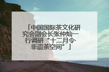 中国国际茶文化研究会副会长张仲灿一行调研“十二月令·非遗茶空间”