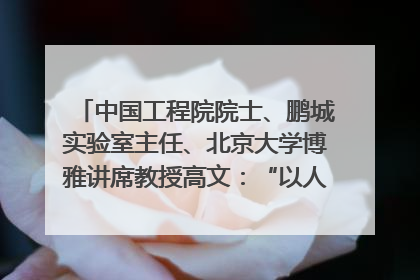 中国工程院院士、鹏城实验室主任、北京大学博雅讲席教授高文：“以人为本 智能向善” 推动文化与科技相生相促｜聚焦2025文化强国建设高峰论坛