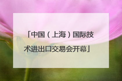 中国（上海）国际技术进出口交易会开幕