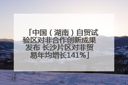 中国（湖南）自贸试验区对非合作创新成果发布 长沙片区对非贸易年均增长141%
