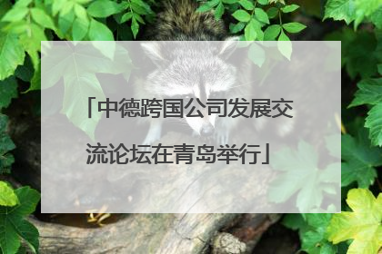 中德跨国公司发展交流论坛在青岛举行
