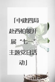 中建四局赴西柏坡开展“七一”主题党日活动